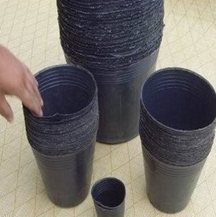 Ӫ