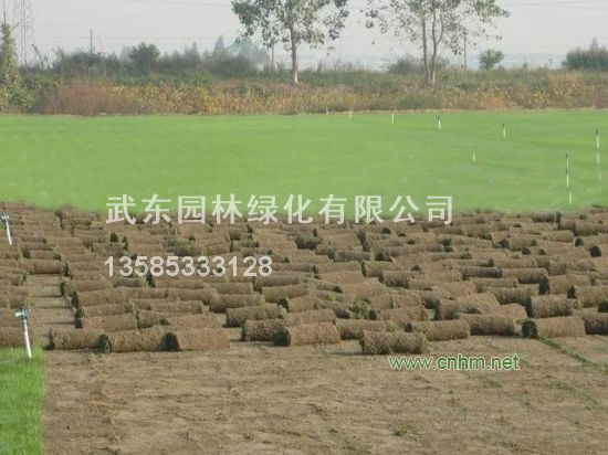 武东园林绿化有限公司