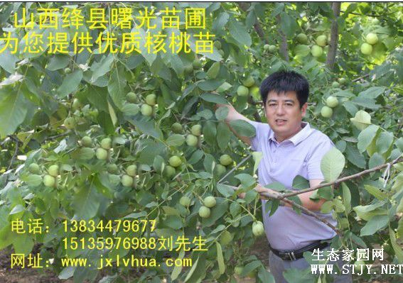 ʺ磡ɽ磡Ʒ磡