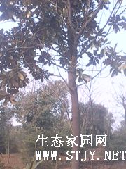 ľ12ֹ۸