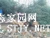 ѩľ۸
