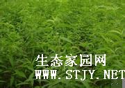 Ӧë磬ɽ磬磬磬ɽ磬