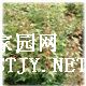 ӦǷ磬ǷС磬Ƿ