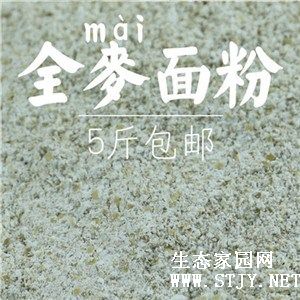 Ϻȫ۹Ӧ/Ϻȫ۹Ӧ̵绰/Ͽڸ